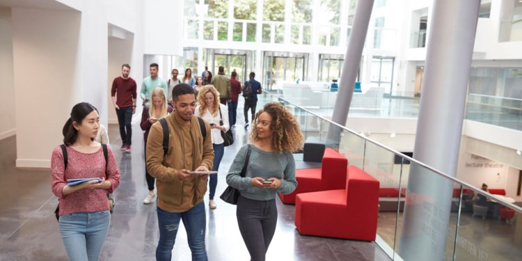 international students new work hour policy (1)