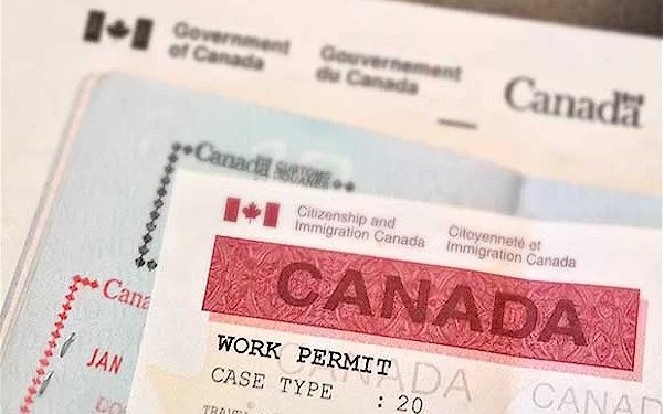 how to check if lmia is ture or fake
