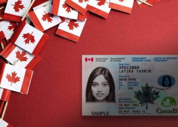 track your pr card status