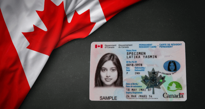 pr card lost stolen or damaged (1)