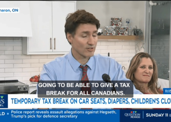 Canada’s 2 Month Tax Holiday: GST and HST Paused on Essentials Starting December 14