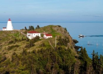 new brunswick pnp re opens