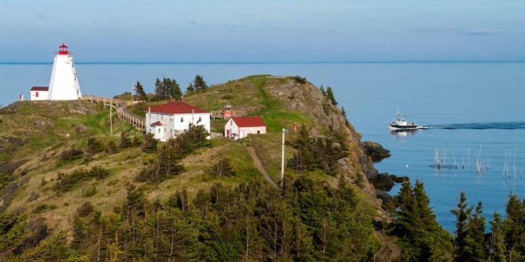 new brunswick pnp re opens